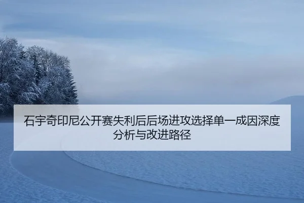 石宇奇印尼公开赛失利后后场进攻选择单一成因深度分析与改进路径